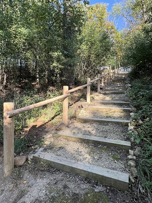 Woodland walk railing
