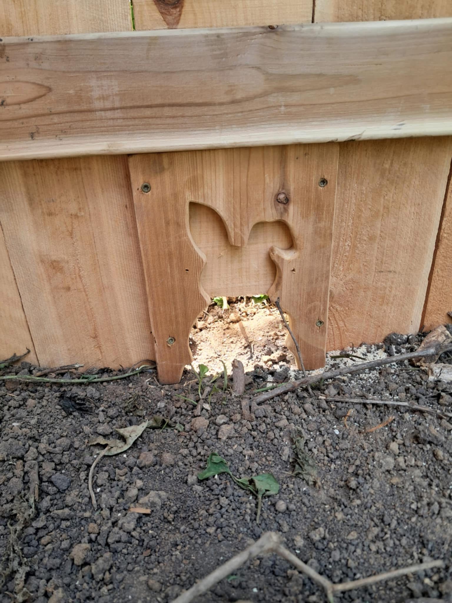 Fence with rabbit cutout
